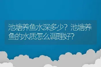 池塘养鱼水深多少？池塘养鱼的水质怎么调理好？