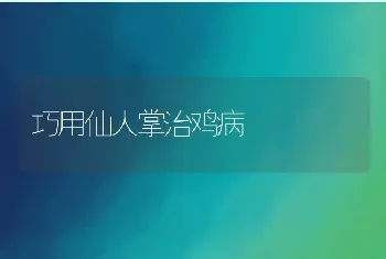 雏鸡脐炎症状图片？雏鸡脐炎怎么治疗？