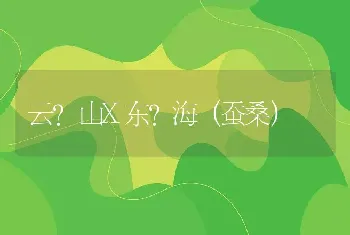 云?山X东?海（蚕桑）