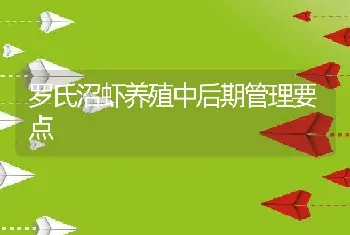 罗氏沼虾养殖中后期管理要点