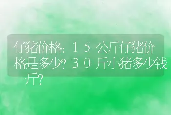 仔猪价格：15公斤仔猪价格是多少？30斤小猪多少钱一斤？