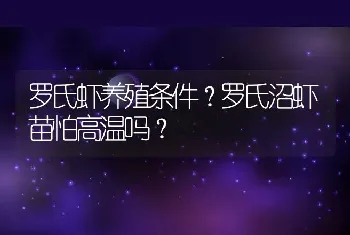 罗氏虾养殖条件？罗氏沼虾苗怕高温吗？