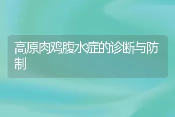 高原肉鸡腹水症的诊断与防制