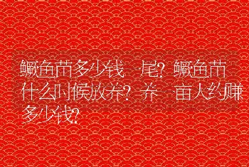 鳜鱼苗多少钱一尾？鳜鱼苗什么时候放养？养一亩大约赚多少钱?