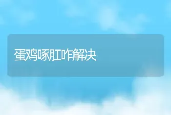 蛋鸡啄肛咋解决