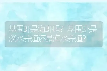 基围虾是海虾吗?基围虾是淡水养殖还是海水养殖？