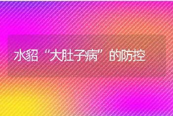 水貂“大肚子病”的防控