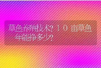 草鱼养殖技术？10亩草鱼一年能挣多少?