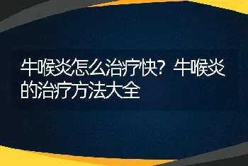 牛喉炎怎么治疗快？牛喉炎的治疗方法大全