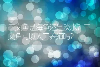 三文鱼是海鱼还是淡水？三文鱼可以人工养殖吗？