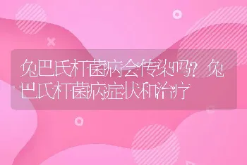 兔巴氏杆菌病会传染吗？兔巴氏杆菌病症状和治疗