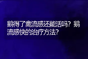 鹅得了禽流感还能活吗？鹅流感快的治疗方法？