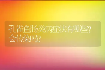 孔雀鱼肠炎病症状有哪些?会传染吗？