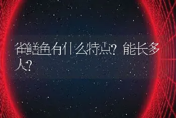 雀鳝鱼有什么特点？能长多大？