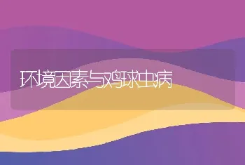 环境因素与鸡球虫病