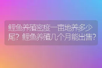 鲤鱼养殖密度一亩地养多少尾？鲤鱼养殖几个月能出售？