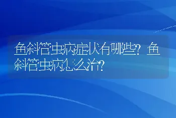 鱼斜管虫病症状有哪些？鱼斜管虫病怎么治？