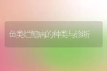 鱼类烂鳃病的种类与诊断