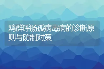 鸡群呼肠孤病毒病的诊断原则与防制对策