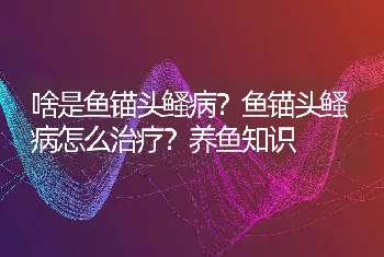 啥是鱼锚头鳋病？鱼锚头鳋病怎么治疗？养鱼知识