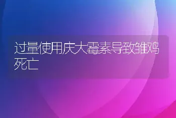 秋季养蚕巧加温