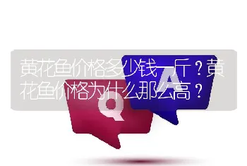 黄花鱼价格多少钱一斤？黄花鱼价格为什么那么高？