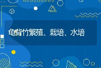 龟背竹繁殖、栽培、水培