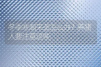 冬季寒潮来袭怎么办？养猪人要注意这些.......