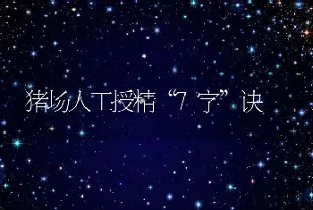 猪场人工授精“7字”诀