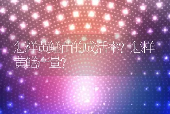 怎样黄鳝苗的成活率？怎样黄鳝产量？