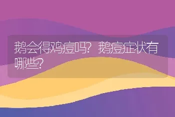 鹅会得鸡痘吗?鹅痘症状有哪些?