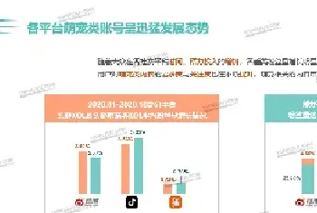 内容生态下，宠物经济或被重新定义！