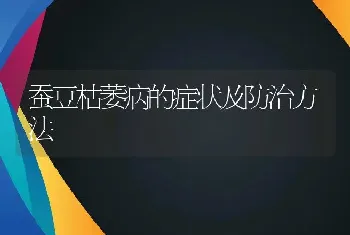 蚕豆枯萎病的症状及防治方法