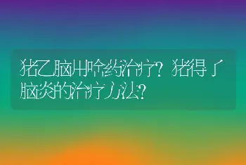 猪乙脑用啥药治疗？猪得了脑炎的治疗方法？