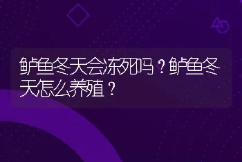 鲈鱼冬天会冻死吗？鲈鱼冬天怎么养殖？