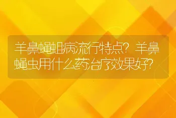 羊鼻蝇蛆病流行特点？羊鼻蝇虫用什么药治疗效果好？