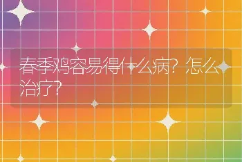 春季鸡容易得什么病？怎么治疗？