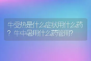 牛受热是什么症状用什么药？牛中暑用什么药管用？