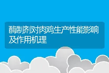 酶制剂对肉鸡生产性能影响及作用机理