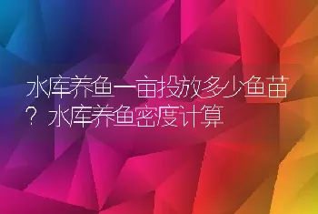 水库养鱼一亩投放多少鱼苗？水库养鱼密度计算