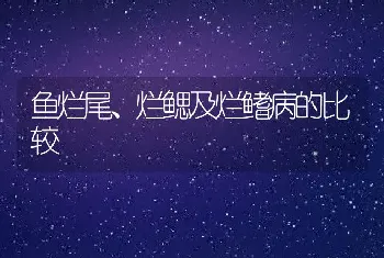 鱼烂尾、烂鳃及烂鳍病的比较