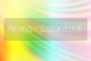 鸡的免疫与蛋白饲料的关系