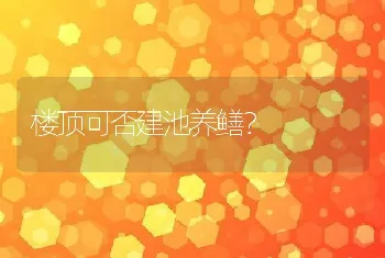 楼顶可否建池养鳝？