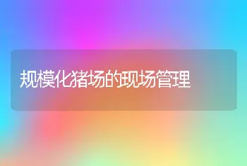 降低新购仔猪发病率的技术措施