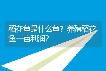 稻花鱼是什么鱼？养殖稻花鱼一亩利润？