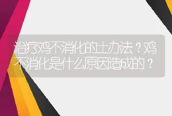 治疗鸡不消化的土办法？鸡不消化是什么原因造成的？