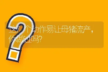 这7个动作易让母猪流产，你做过吗？