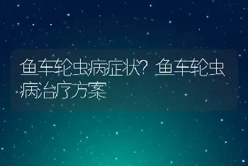 鱼车轮虫病症状？鱼车轮虫病治疗方案