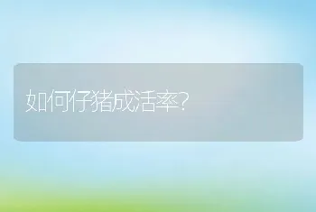 如何仔猪成活率？