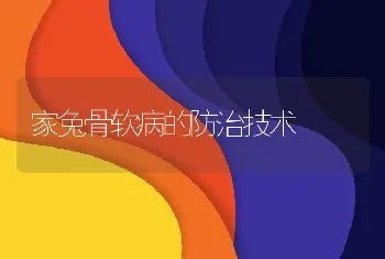 家兔骨软病的防治技术